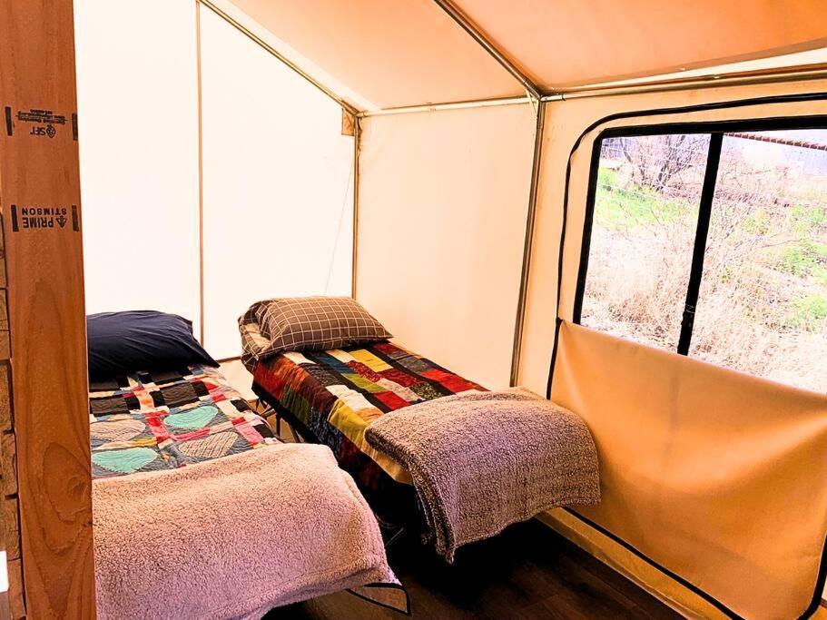 Silver Spur Homestead Luxury Glamping - The Cowboy トゥームストーン エクステリア 写真