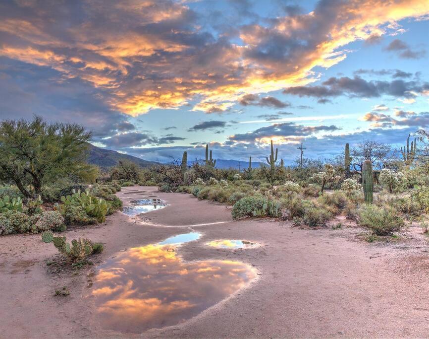 Silver Spur Homestead Luxury Glamping - The Cowboy トゥームストーン エクステリア 写真